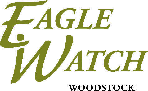 Eagle Watch HOA Election 2-2019